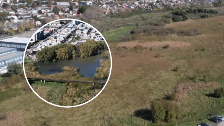 “Vamos a inundarnos”: Crece debate por construcción de 19 edificios cerca de humedal en Concepción