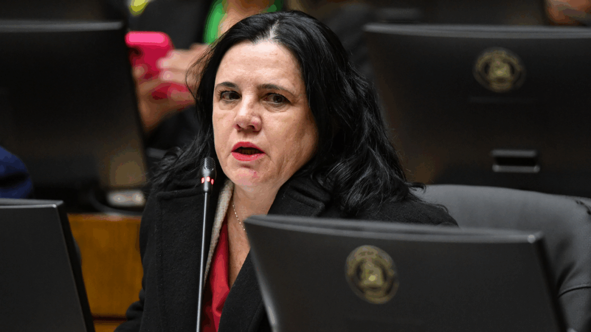 Tres pilares y siete ejes: El plan de seguridad que alista la ministra Steinert