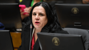 Tres pilares y siete ejes: El plan de seguridad que alista la ministra Steinert