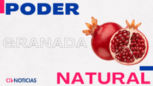 VIDEO | Cardioprotectora y antiinflamatoria: El poder natural de la Granada