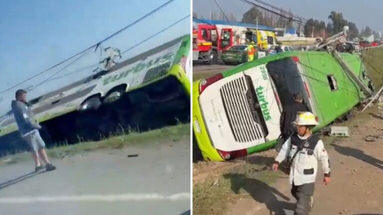 Conductor está detenido y hay un herido en estado grave: Surgen nuevos antecedentes tras volcamiento de bus en Ruta 5 Sur