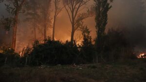 Senapred solicitó evacuar zona de la región del Biobío por incendio forestal
