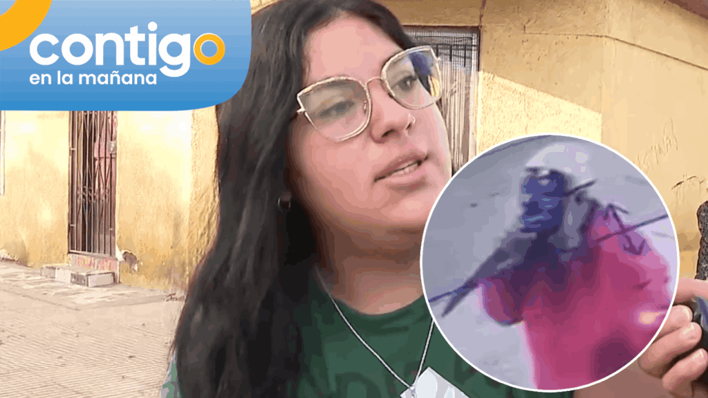 “Uno se arriesga”: Vecina relató que se encontró en la calle con el “enmascarado de San Miguel”