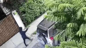VIDEO | Conductor fue baleado en violenta encerrona en Providencia: Delincuentes usaron arma tipo Uzi