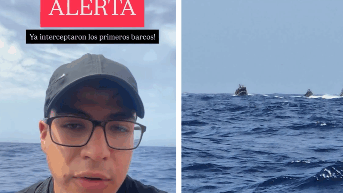 Nave que iba a Gaza con Carolina Eltit habría sido interceptada y perdieron contacto con Víctor Chanfreau