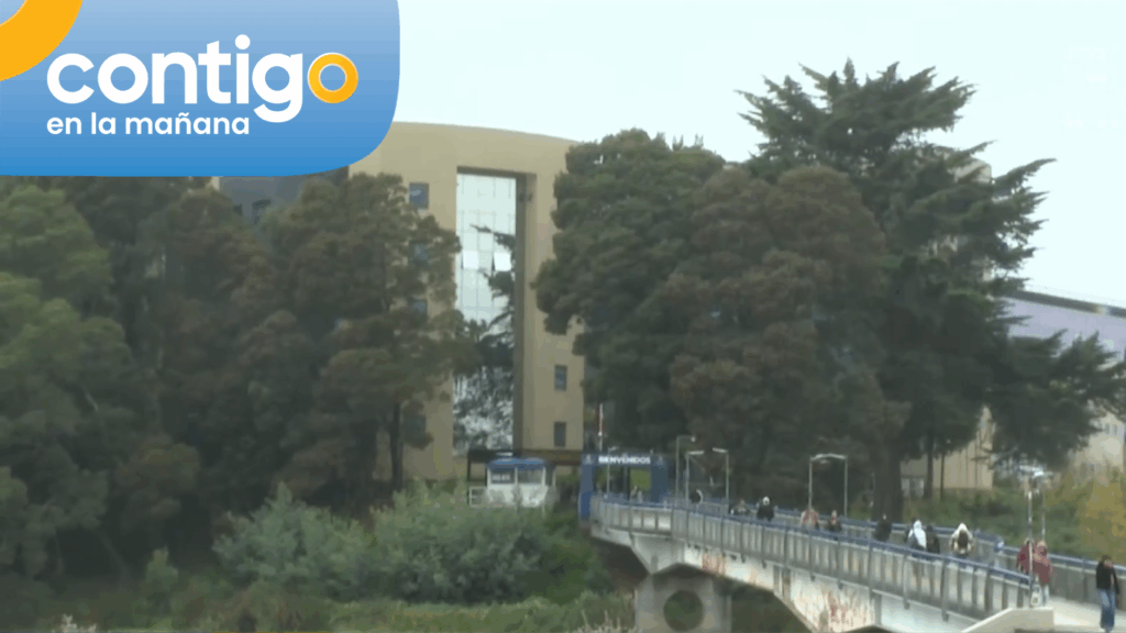 Revelan detalles de la “manada de Concepción” denunciada por violación: Seguirían asistiendo a clases