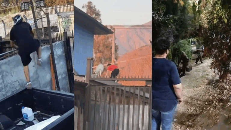 Llamado de vecinos a Carabineros termina con allanamiento y fuga por los techos en Puente Alto