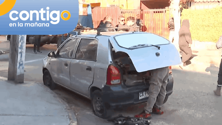Operativo de retiro de autos abandonados en Peñalolén generó polémica: Dueño entregó inusual excusa