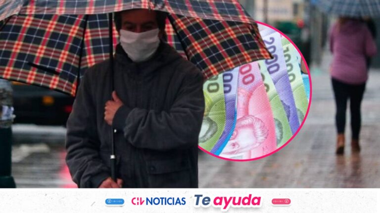 Pago del Bono Invierno: Revisa con tu RUT si recibes los $81 mil en mayo