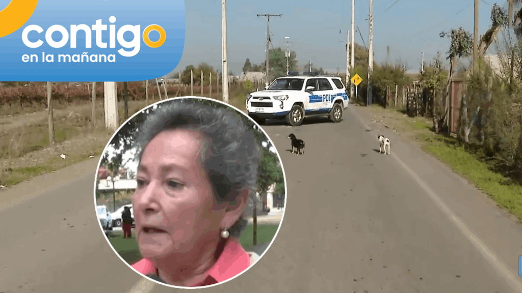 Nuevo hallazgo en caso de concejala desaparecida en Villa Alegre: Sería clave para la investigación