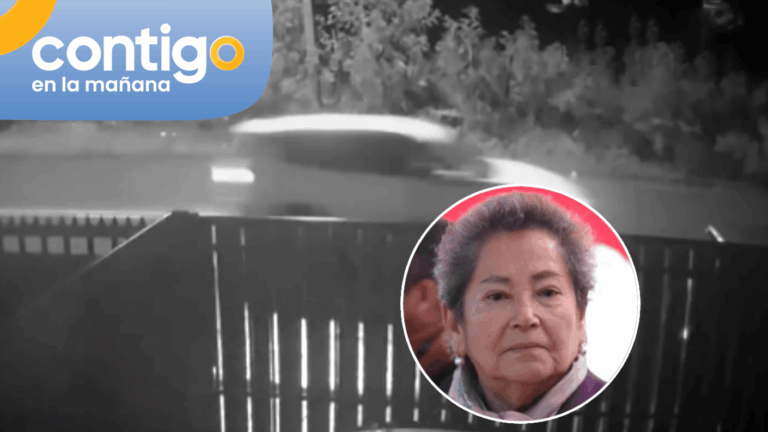 El hallazgo clave de la patente de concejala desaparecida en Villa Alegre y las nuevas teorías que surgen