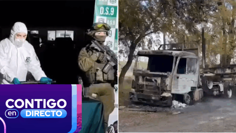 Dos atentados a Carabineros en menos de tres horas: Reportan nuevo ataque incendiario tras operativo en Temucuicui
