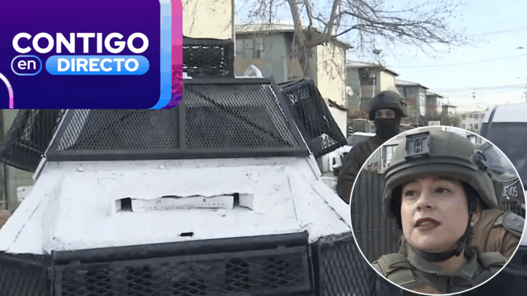 OS7 de Carabineros despliega amplio operativo en Bajos de Mena: 7 casas allanadas por tráfico de drogas