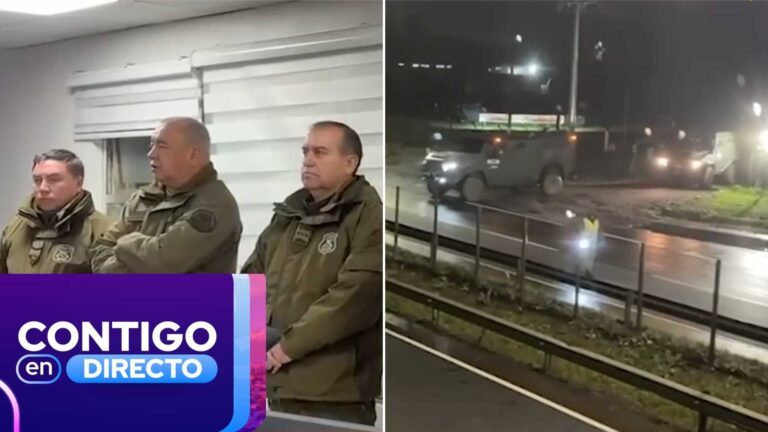 Cinco detenidos en masivo operativo policial en Temucuicui: Eran buscados por atentados incendiarios y robo