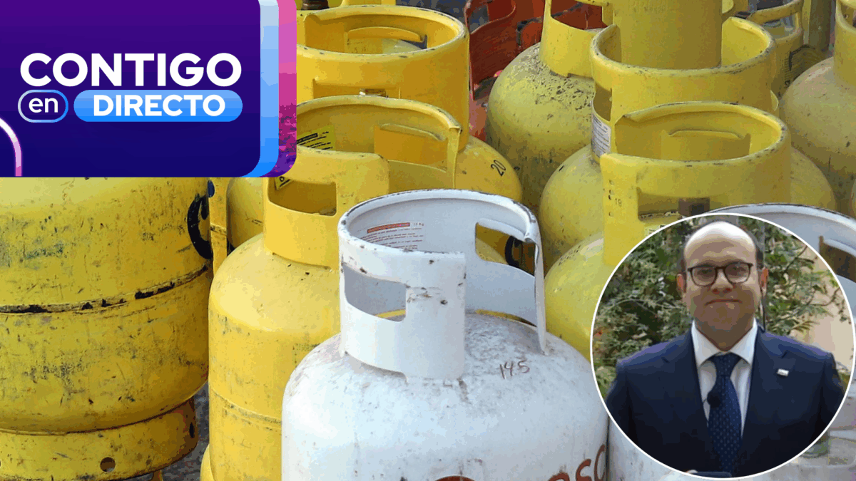 “Son solo dos clics”: Subsecretario del Interior explicó cómo funciona y quiénes pueden recibir bono de gas