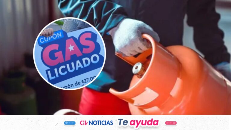 Cupón de Gas Licuado: Las tres condiciones para obtener el subsidio de $27 mil