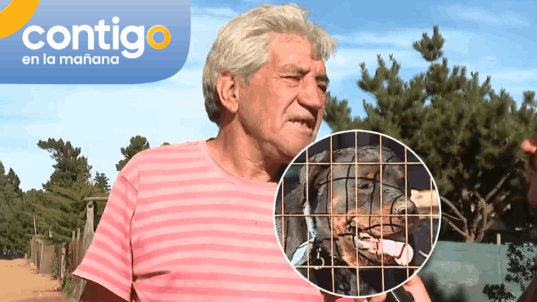 “Salió a comprar y se le tiraron”: Hijo de adulto mayor atacado por perros contó cómo le salvó la vida