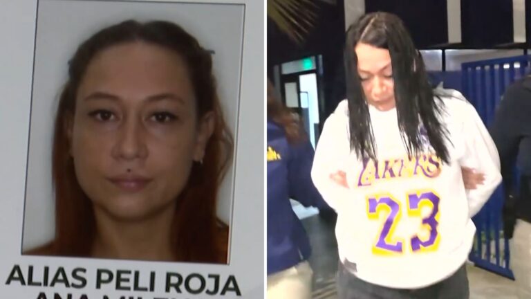¿Quién es Ana Milena Álvarez? La mujer más buscada de Colombia por presunto homicidio que fue detenida y expulsada de Chile