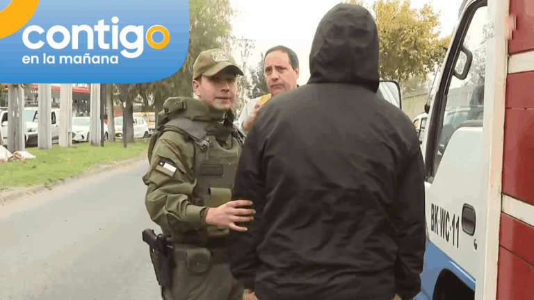 Menor de edad fue fiscalizado conduciendo sin licencia un camión en Puente Alto: Adulto responsable fue detenido