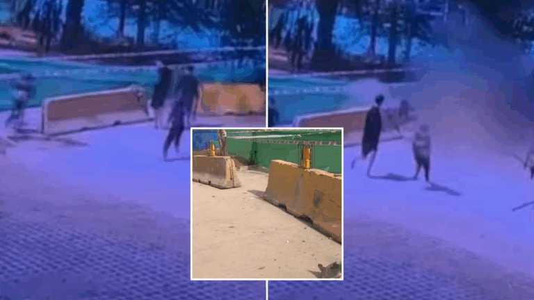 A centímetros de cuatro niños: Cámara capta momento en que motociclista impactó barrera y murió tras choque en Quinta Normal