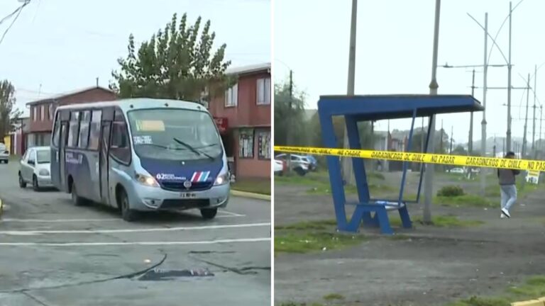 La encontró en el paradero: El gesto de chofer de transporte público tras bala loca que hirió a embarazada en Hualpén