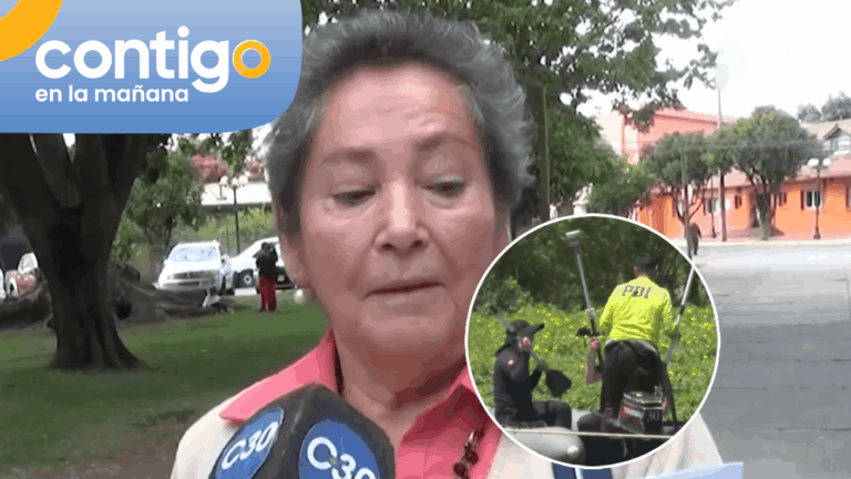El detalle en la patente hallada de la concejala que sería clave en la investigación: “Presenta hongos”