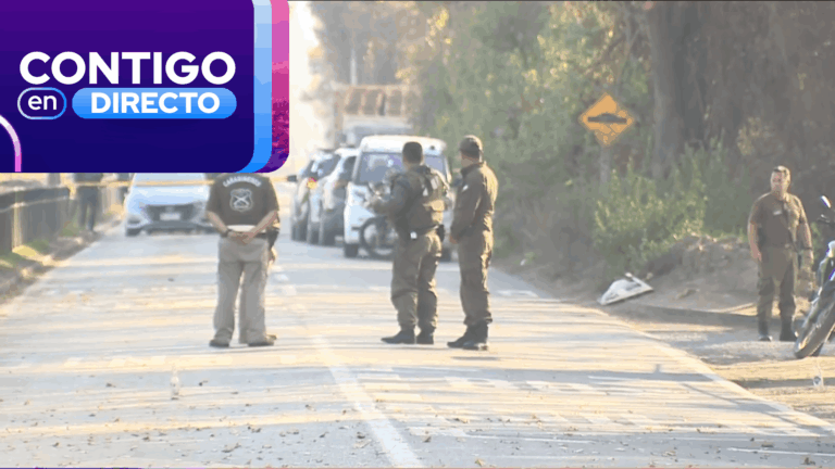 Un delincuente abatido y cuatro detenidos dejó persecución por robo de camión con carga en Pudahuel
