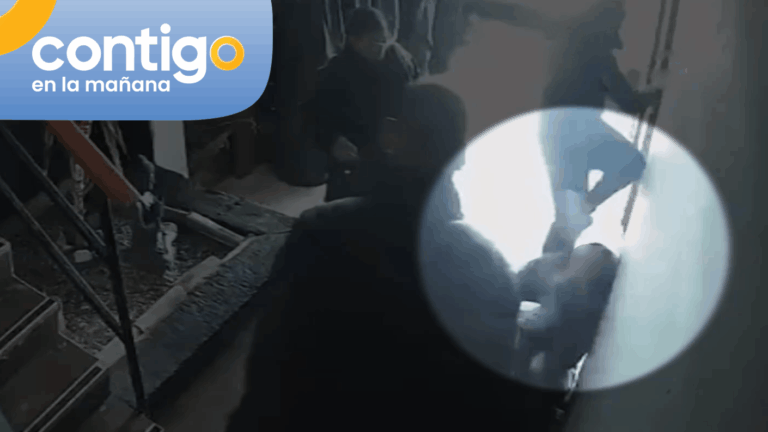 Denuncian presunta mafia del turismo en Reñaca: Guía fue agredida con patada en la cara y quedó hospitalizada