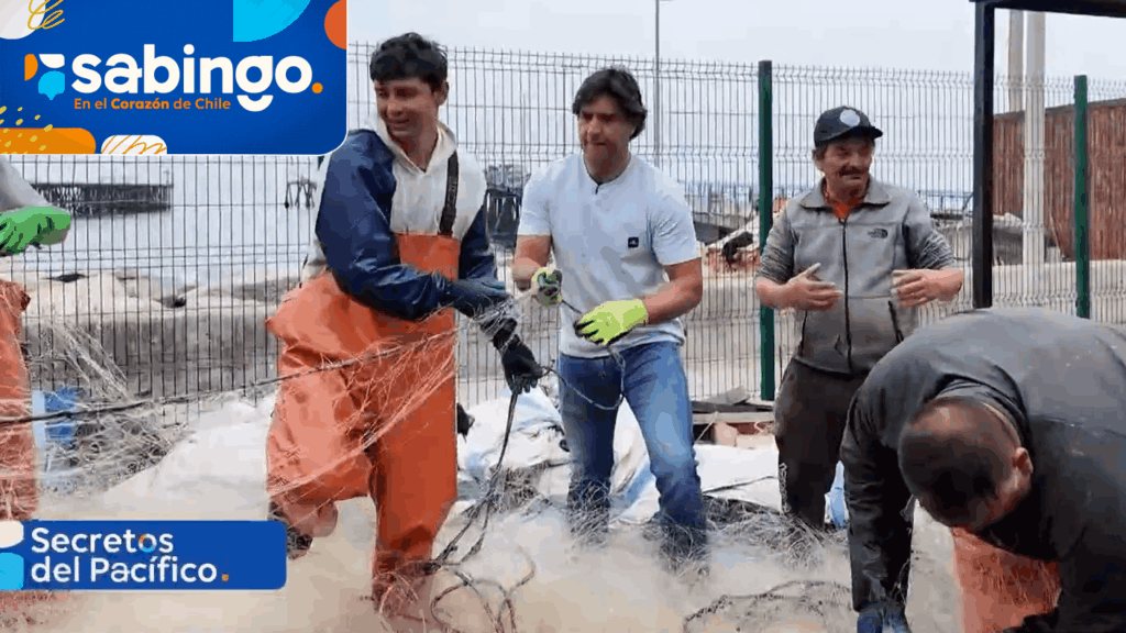 Cristián Riquelme descubrió el Puerto Maguillines y sus encantos | Secretos del Pacífico | Sabingo