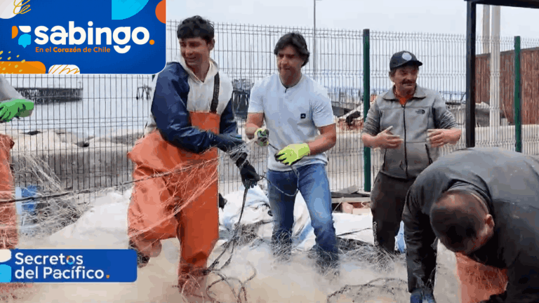 Cristián Riquelme descubrió el Puerto Maguillines y sus encantos | Secretos del Pacífico | Sabingo