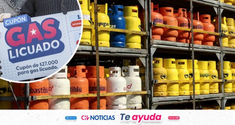 Subsidio de Gas Licuado: Conoce la fecha límite para activar el cupón de manera online