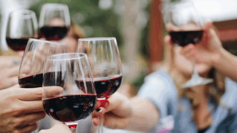 40 viñas del Valle del Maipo ofrecen degustaciones de vino: Cómo conseguir entrada gratis a la Vendimia