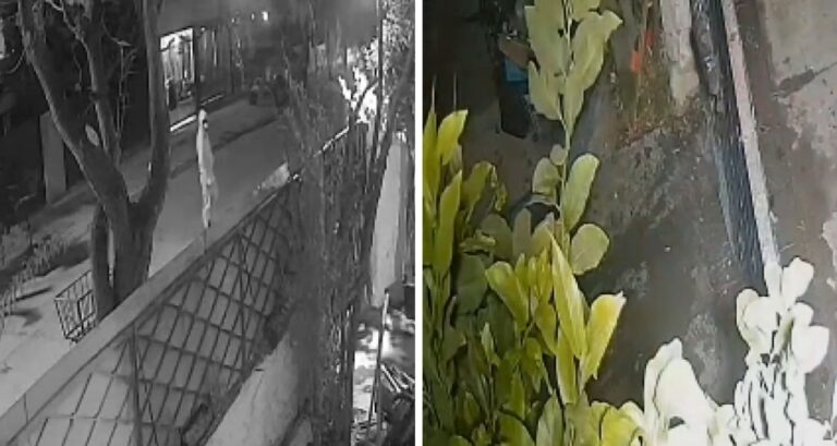 VIDEO | Cámara captó balacera contra casa en La Cisterna: Detuvieron a pareja que amenazó a familia