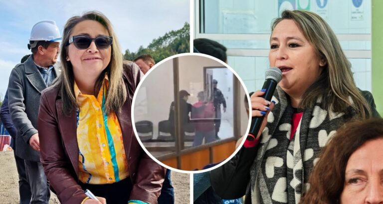 ¿Quién es Yanela Flores? La concejala de Lumaco detenida por hurtos a tiendas en mall de Coquimbo