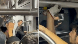 VIDEO | Pánico en Metro de Santiago: Usuarios intentaron romper puertas y ventanas