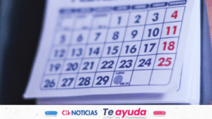 Cuándo es el próximo feriado en Chile: Revisa fecha y cómo funcionará el comercio