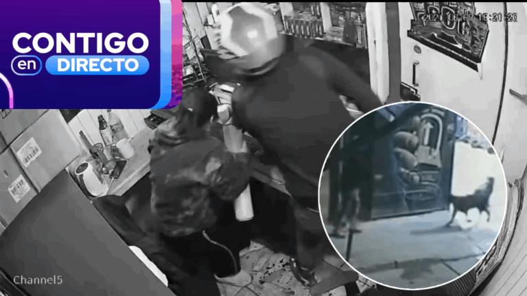 “Se acostó a mis pies y murió”: Dueña relató despiadado actuar de delincuente que mató a su perro en Cerro Navia
