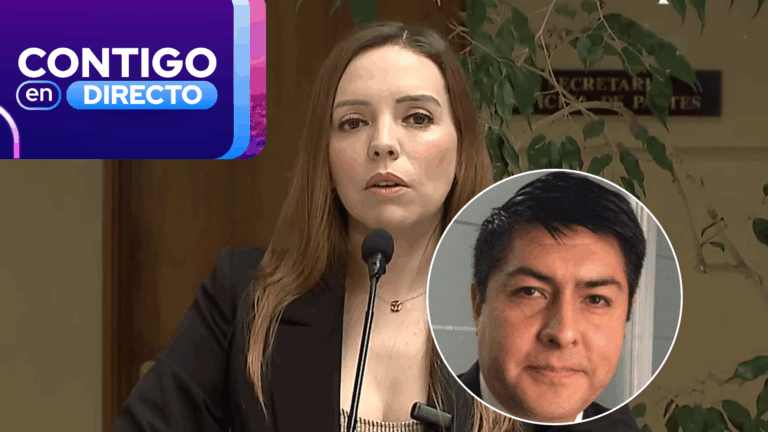 Caso Camila Flores y Percy Marín: Todas las aristas judiciales y políticas que tiene la mediática disputa