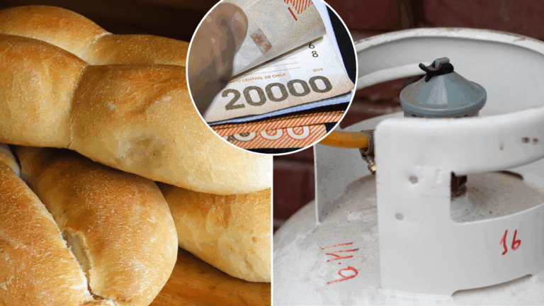 IPC registró aumento de 0,2% en mayo: Estos fueron los productos que más subieron de precio