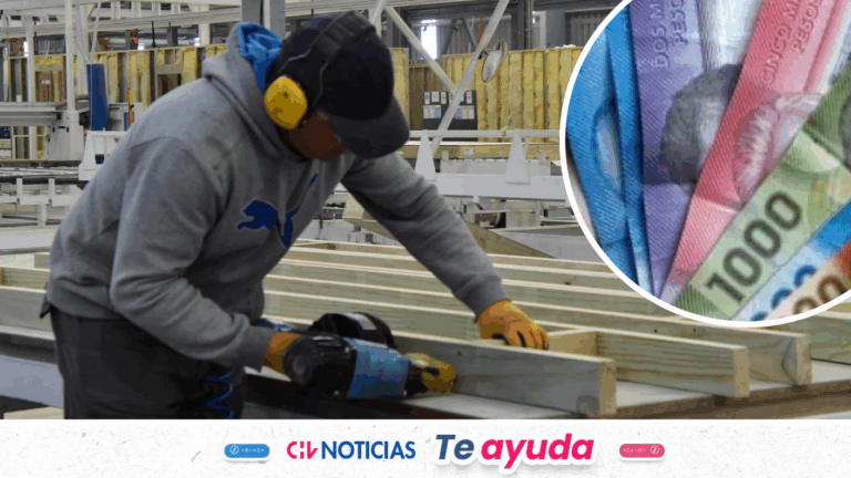 Devolución de cotizaciones del seguro laboral: Consulta si te corresponde y cómo solicitar el pago