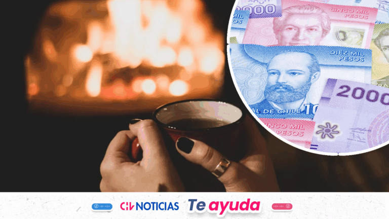 Bono de $100 mil para calefacción por bajas temperaturas: Consulta aquí con tu RUT