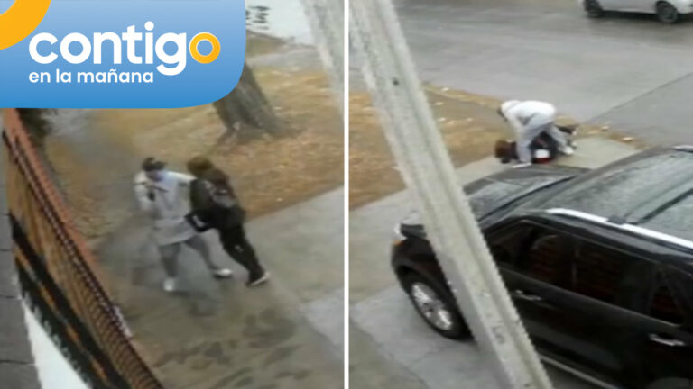 Dos extranjeros fueron detenidos tras violento asalto en Quinta Normal: Adulta mayor fue golpeada y arrastrada