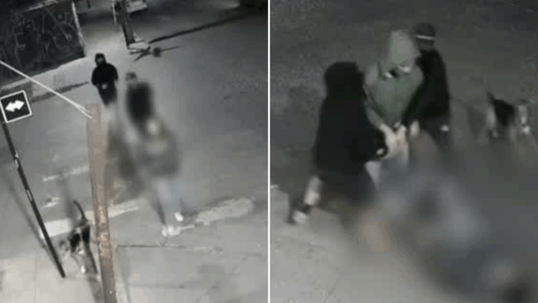 Violento asalto en Quinta Normal: Delincuentes atacaron a mujer que paseaba a su perro