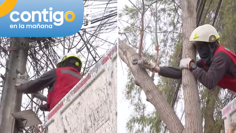 Absoluto control territorial: Retiran cámaras ocultas en árboles y tubos de pvc en La Granja
