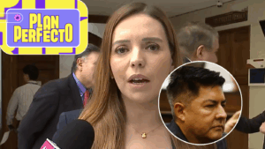 Tras filtración de fotos de Camila Flores: PDI allanó casa del exesposo de senadora y encontró videos íntimos