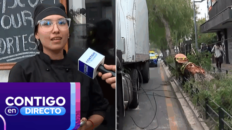 Peligro por cables electrificados tras caída de árbol en Providencia: Locales comerciales están sin luz