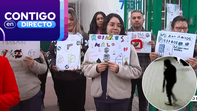 Doce robos en dos semanas: Colegio está a punto de cerrar por constantes robos en Lo Espejo