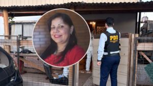 Confesaron el sicariato: Fiscal revela nuevos antecedentes del crimen de mujer por encargo de su hija en Loncoche