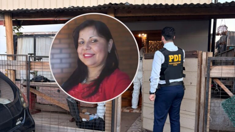 Confesaron el sicariato: Fiscal revela nuevos antecedentes del crimen de mujer por encargo de su hija en Loncoche