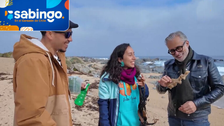 El Menú de Chile: Sergi Arola recorrió el Quisco para deleitarse con las “Pantrucas marinas”